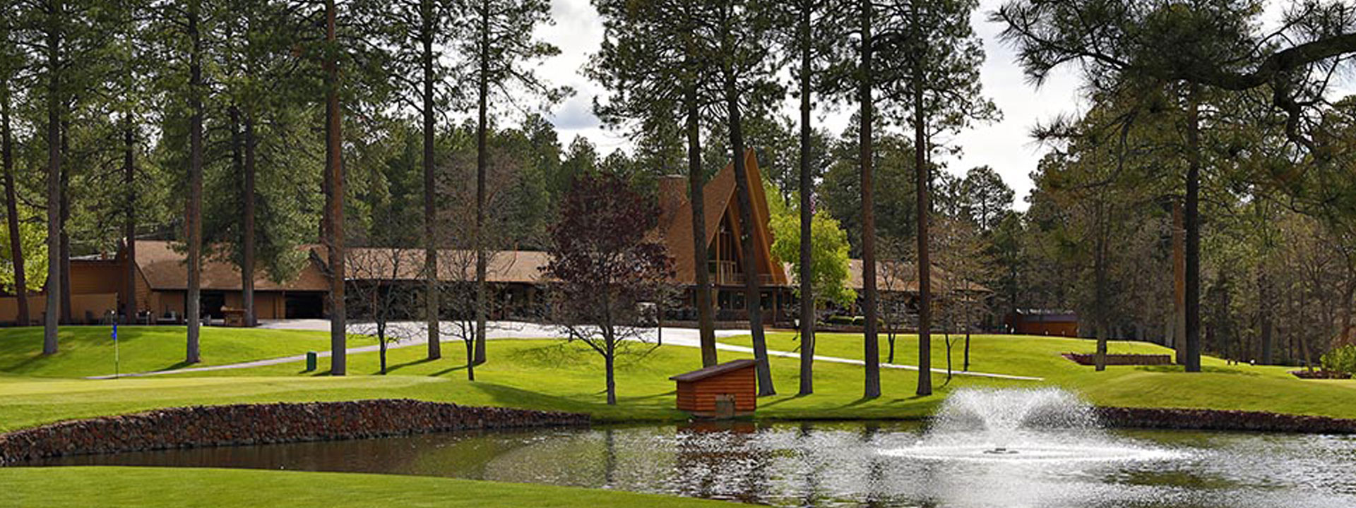 Pinetop,Arizona Rentals